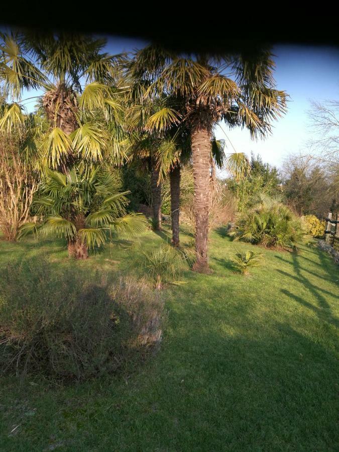 Le Coing Vila La Guiltiere Exterior foto